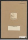 Stelladiscus stella (Norm.) Rattr. (de-Toni-Nr.: Genus 237, Species 5721) Zeichnungen Sammlung Grunow Nr. 9718 (NHMW-BOT-W0379663)